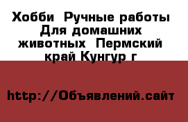 Хобби. Ручные работы Для домашних животных. Пермский край,Кунгур г.